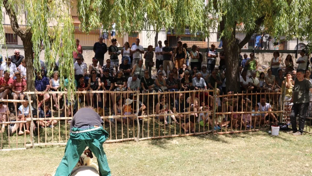 Un momento de la demostración de esquilado de ovejas ayer en Sort. - EDGAR ALDANA