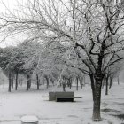 El inicio del invierno ha sido especialmente frío en Lleida, que el día 8 de enero se despertó con este paisaje tras la niebla heladora.
