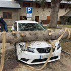 Un abre ha caigut a l'aparcament del Parador d'Arties, a la Val d'Aran.