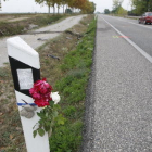 Flors i un ninot de peluix ahir a escassos metres del punt en el qual va tenir lloc l’accident mortal.
