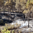 Imatges de l'incendi de la Ribera d'Ebre, que afecta a diversos indrets de les Garrigues i el Segrià