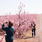 Turistas tomando fotos en los campos de frutales de Aitona.