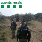 Agentes rurales, ayer, en una inspección de caza en Cubells.