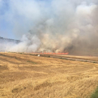 Las llamas arrasan restos de cereal cosechado en el incendio registrado ayer en Foradada.