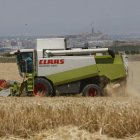 Una explotació agrària a Lleida