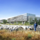 Recreació virtual de l’edifici que acollirà l’hospital veterinari de la UdL, ubicat a la vora del Creba (al fons). 