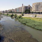 La superficie del Segre, cubierta de algas a su paso por Lleida ciudad esta semana. 