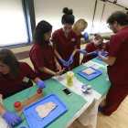 El centre acollia aquesta setmana un curs de formació en sutura quirúrgica de ferides en infermeria, amb pràctiques en pell de porc.