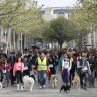 Desfile de mascotas en la rambla de Ferran de Lleida.