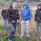 Alumnos de este grado del IES Josep Vallverdú atienden en una clase sobre la poda de viñedos.