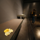 Flores amarillas en las estanterías vacías del Museu de Lleida. 