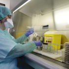 El nou laboratori de Microbiologia de l'hospital Arnau de Vilanova de Lleida.