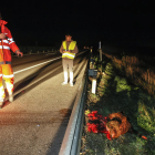 Un jabalí provocó un accidente la noche del lunes en la LL-12 en Albatàrrec. 