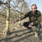 Joan Narcís, agricultor d’Alpicat, ahir a la seua finca al costat d’arbres rosegats pels conills.