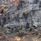 El incendio de Baldomar, en junio, calcinó 2.700 hectáreas.