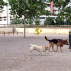 El Ayuntamiento de Lleida abre el área de perros de los Jardines Jaume Magre