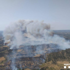 L'incendi ja ha afectat unes 500 hectàrees.