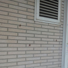 Cucarachas en la pared junto al portal de un edificio en Cappont.
