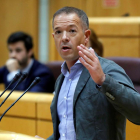 El portaveu del PSOE al Senat, Ánder Gil.