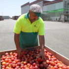 La Comisión Europea amplía en 20.000 toneladas los cupos de retirada de fruta de hueso