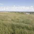 Els terrenys triats per al futur centre, amb la Unitat Quirúrgica Docent de la UdL al fons a la dreta.