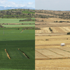 Agricultura i canvi climàtic. Investigacions des de Lleida per adaptar-nos a un clima canviant
