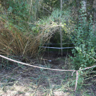 El cadàver estava enterrat en aquest lloc de vegetació frondosa molt a prop del riu a Albesa.