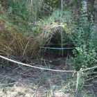 El cadáver estaba enterrado en este lugar de vegetación frondosa muy cerca del río en Albesa.