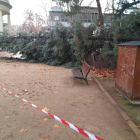 Un árbol de grandes dimensiones cayó en los Camps Elisis. 