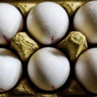 Bélgica y Holanda inician investigaciones judiciales por huevos contaminados