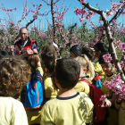 Comencen les visites als camps de fruiters florits a Aitona