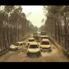 VÍDEO. La carretera de la muerte del incendio de Portugal, a vista de dron