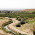 Vista de parcelas de l’Horta con distintos cultivos cruzadas por una canalización de riego en la zona de Torres de Sanui.
