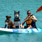 Imagen de una actividad de kayak con perros.