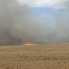 Una vista de l'incendi agrícola a Arbeca.