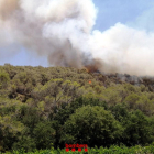 Els Bombers treballen en un incendi forestal a Olivella, al massís del Garraf