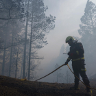 Un bomber en un bosc arrasat per les flames.