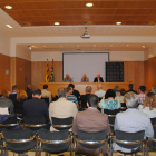 La reunió dels alcaldes es va fer ahir al consell del Pla d'Urgell