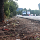 El cotxe en el qual viatjaven les dos víctimes mortals i la ferida crítica va xocar contra aquest arbre