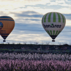 Globus a Aitona per veure la floració des de l'aire