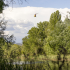 L’helicòpter dels Bombers, ahir mentre sobrevolava el riu Segre durant la recerca a Gerb.