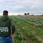 El president del Gremi de la Pagesia Catalana, Joan Regolf, observa les carxoferes de la seva finca d'Amposta.