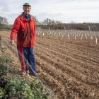 Un agricultor de Verdú mostra la malla metàl·lica amb què intenta protegir les vinyes dels conills. - LAIA PEDRÒS