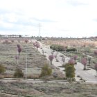 Vista de part dels terrenys de Torre Salses on Promenade projecta la seua àrea comercial. - MAGDALENA ALTISENT
