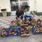 Manel Muñoz i Joan Mora, de Cervera, van aconseguir una bona collita de ceps aquesta setmana. - SEGRE