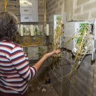 Instal·lació elèctrica deficient a les zones comunes
