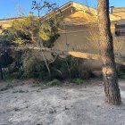 A l'escola J.J. Ràfols, de Torrelavit (Alt Penedès), un arbre ha caigut al pati del darrere.