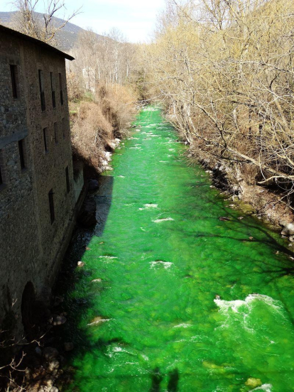 El riu Valira, tenyit de verd a La Seu d'Urgell