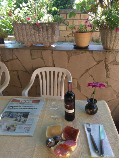 Les meves vacances a casa al, jardí, al pati o a la terrassa, pro sempre amb bona companyia, el diari Segre no pot faltar cap dia.