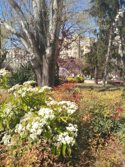 Arbres florits, camps verds i bon temps...ja és aquí la primavera!